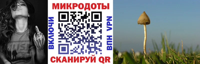 ссылка на мегу продажа наркотиков Камень-на-Оби Галлюциногенные грибы GOLDEN TEACHER