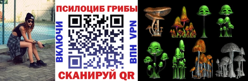 Псилоцибиновые грибы GOLDEN TEACHER Камень-на-Оби
